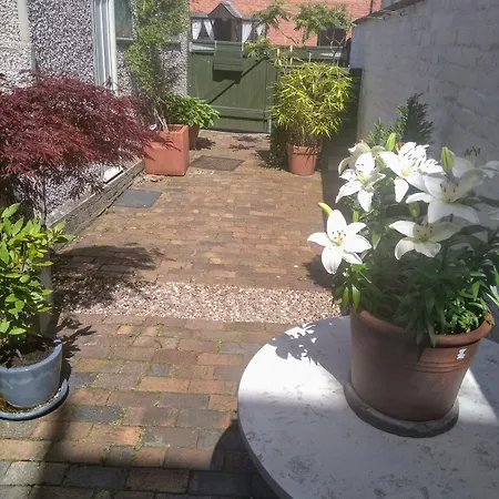 Shorehouse 酒店 3*